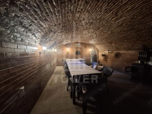 De închiriat apartament 1 cameră – Turnișor, Sibiu - imagine 9