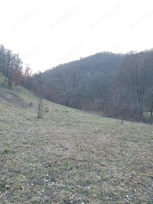Teren cu acte la zi în mijlocul naturii  - imagine 4