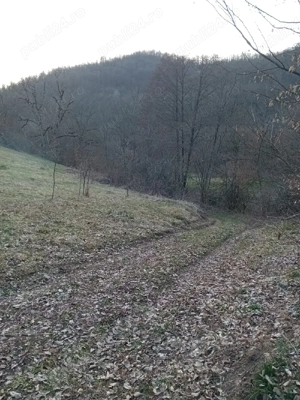 Teren cu acte la zi în mijlocul naturii  - imagine 3
