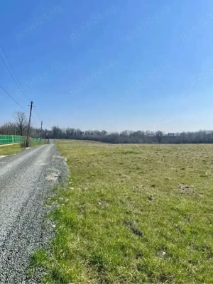 Teren Intravilan Buziaș   Direct Proprietar