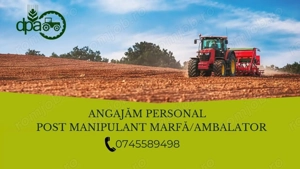 angajam personal post manipulant marfa ambalator