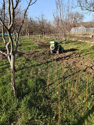 Motocultor Pasquali 909