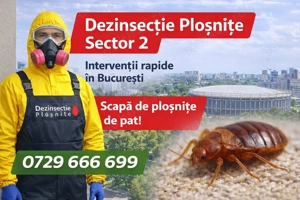 Dezinsectie plosnite Bucuresti | Eliminare ploșnițe de pat | Intervenție rapidă