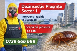 Eliminare plosnite Sector 1 Bucuresti | Tratament profesional ULV