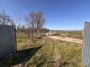 Domeniu cu lacuri de pescuit - cabane si livada  - Oportunitate rara langa Oradea