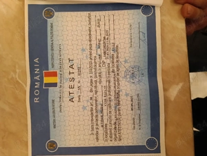 Agent de securitate  - imagine 2