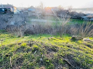 Teren intravilan 3.750 mp Rasova, aproape de șosea - imagine 4