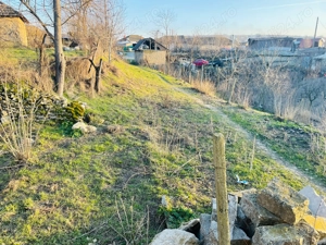 Teren intravilan 3.750 mp Rasova, aproape de șosea - imagine 2