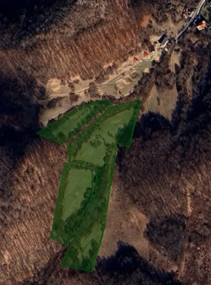 De vanzare aproape 3 Ha intr-o zona Climaterica, de o frumusețe aparte - imagine 2