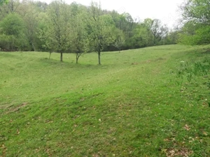 De vanzare aproape 3 Ha intr-o zona Climaterica, de o frumusețe aparte - imagine 4