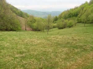 De vanzare aproape 3 Ha intr-o zona Climaterica, de o frumusețe aparte - imagine 5