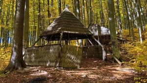 De vanzare aproape 3 Ha intr-o zona Climaterica, de o frumusețe aparte - imagine 8