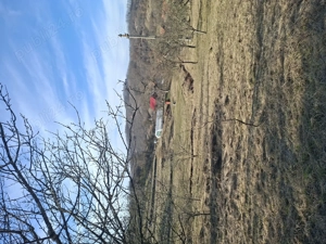 Vand teren intravilan intabulat, 5000 mp, 15 km de autostrada, curent trifazic, proiect casa