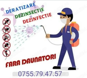Servicii de dezinsecție,dezinfecție și deratizare non stop
