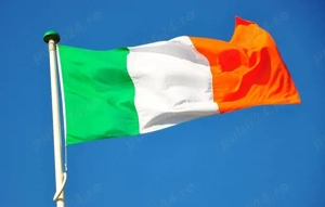 Infiintari Firme Irlanda