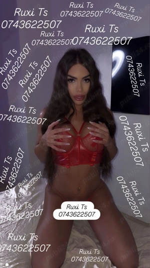 Ruxi TopTrans detin locatie, ofer si deplasari show web - imagine 2