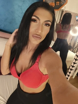 show web.. - imagine 2