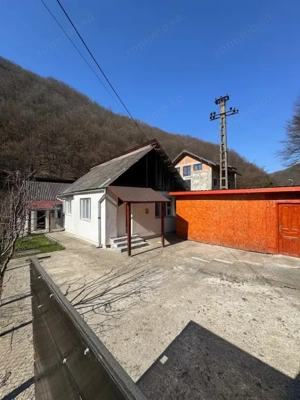 Două case în aceeași curte, Valea Borcutului – 85 mp utili, 55.000 €