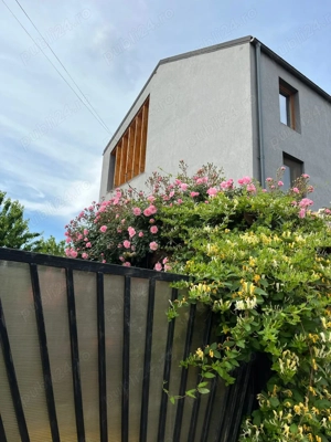 Ofer spre Inchiriere