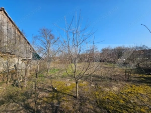 Casă din cărămidă, 4 camere, șură și curte mare – Sâncel (Blaj), Alba - imagine 12