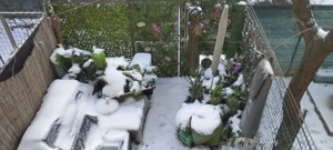 Garsonieră în vilă, terasă 10 mp, curte proprie, mobilată complet, Baba Novac - imagine 12