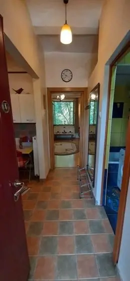 Garsonieră în vilă, terasă 10 mp, curte proprie, mobilată complet, Baba Novac - imagine 6