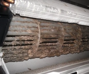 Igienizare aer conditionat 