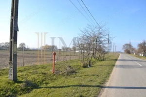 Vanzare Teren intravilan, 5600 mp in Mircea Voda - Dambovita. - imagine 5