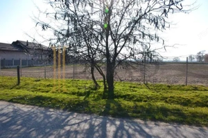 Vanzare Teren intravilan, 5600 mp in Mircea Voda - Dambovita. - imagine 4