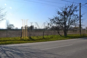 Vanzare Teren intravilan, 5600 mp in Mircea Voda - Dambovita. - imagine 2