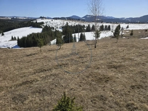 Teren intravilan 1500 mp – Zonă deosebită, Piatra Fântânele