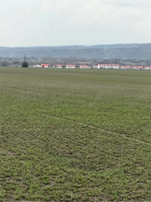 10000 mp teren intravilan Vernești, Buzău - imagine 3