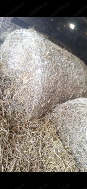 Vand rotobali de fân 