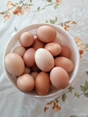 Oua prospete de casa de vânzare 