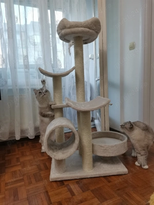 Vand ansamblu de joaca pisici - nou - imagine 2