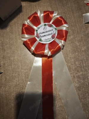 cocarde pentru elevi 