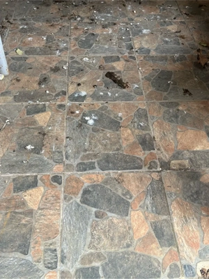 Oferim servicii de spalare a pavajului,fatadele caselor,garduri