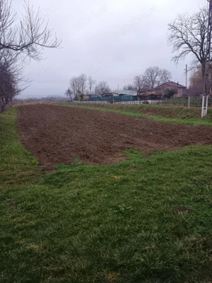 Vând casă în comuna Gurasada, sat Gothatea  - imagine 6