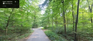 Teren de Vis,4000mp, 40m,deschidere,lac,padure,asfalt,utilitati,Snagov