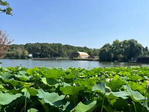 Teren de Vis,4000mp, 40m,deschidere,lac,padure,asfalt,utilitati,Snagov