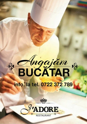 Angajam bucatar jadore restaurant lugoj