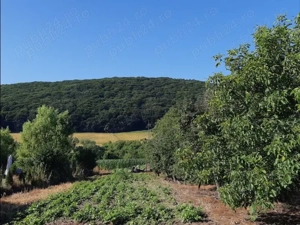 CASĂ familială întăbulată DE VÂNZARE  în Comuna și satul FIZEȘU GHERLII,  nr. 24 (Jud Cluj) - imagine 9