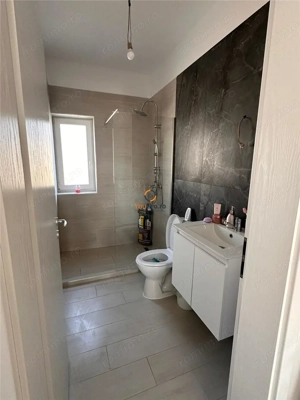 Apartament cu 2 camere  parter Casa Insiruita   Mosnita Veche - imagine 6