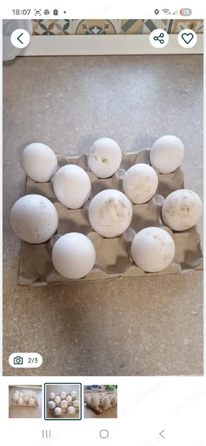 oua gasca chinezeasca  - imagine 3