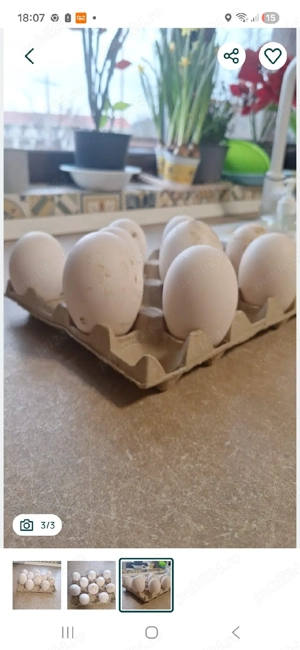 oua gasca chinezeasca 