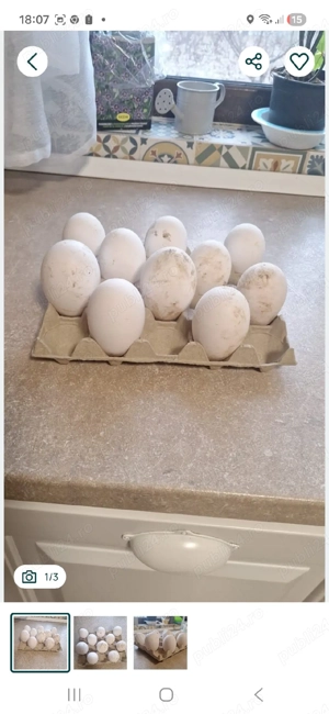 oua gasca chinezeasca  - imagine 2