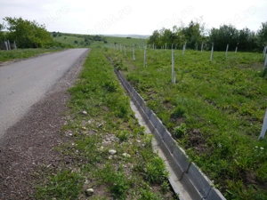 Vand teren Herneacova - imagine 6