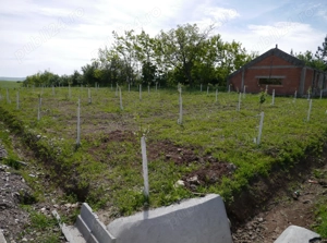 Vand teren Herneacova - imagine 5