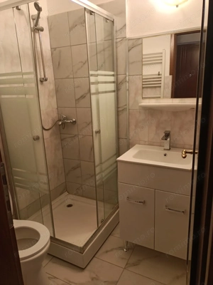 Garsoniera Buziasului - imagine 4