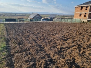 teren de vânzare în Sânpetru  - imagine 7